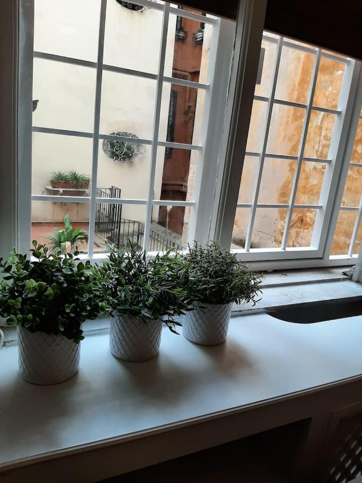Charming Loft In Piazza Di Spagna Διαμέρισμα Ρώμη Εξωτερικό φωτογραφία